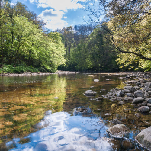 Adobe Stock 153539090
